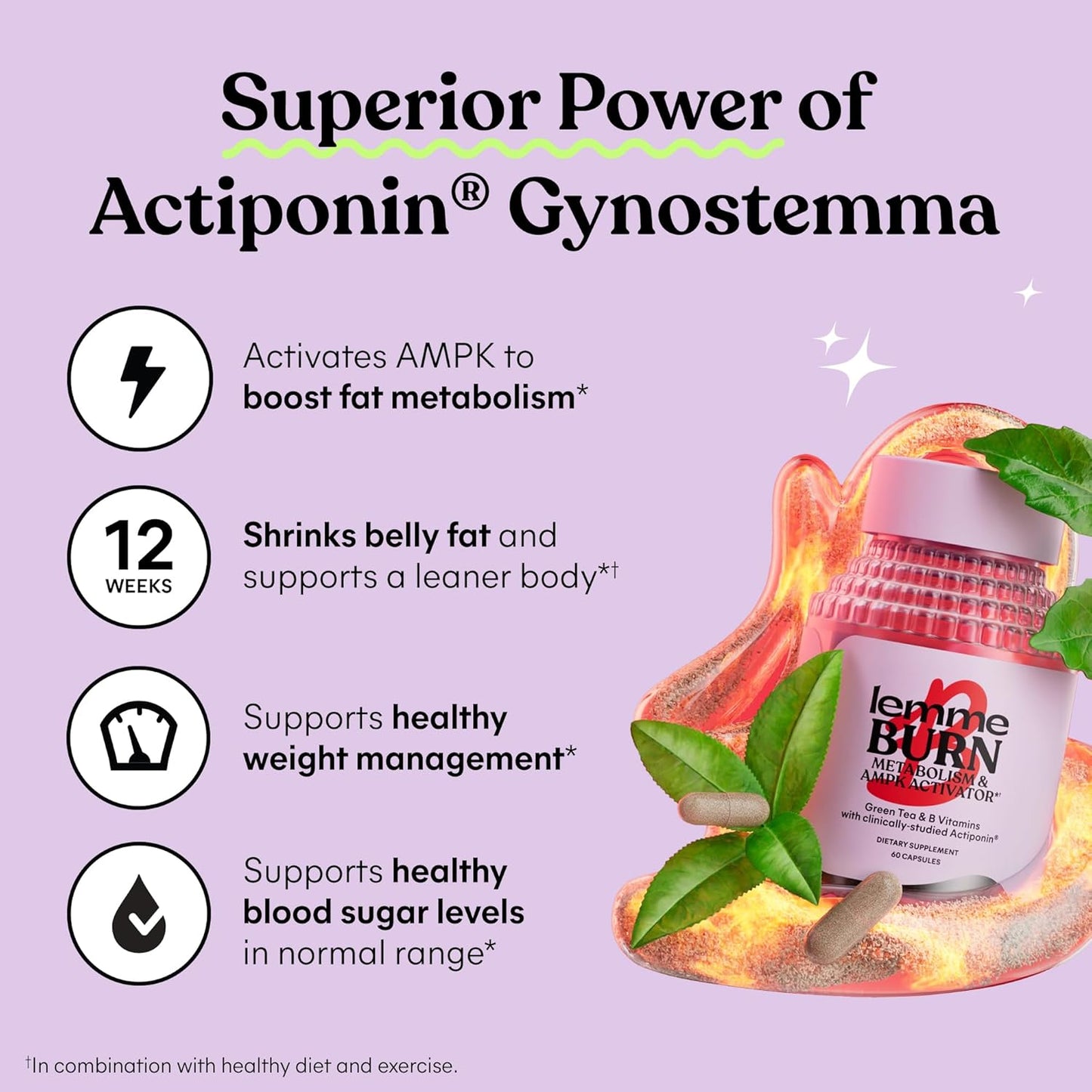 Burn - Metabolism, Belly Fat Burning + AMPK Activating Supplement for Men & Women W/Clinically Studied Actiponin Gynostemma, Green Tea Extract, Vitamins B6 & B12 - Gluten Free, 60 Count